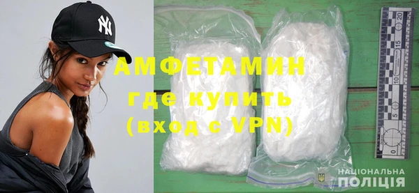 PSILOCYBIN Тайга