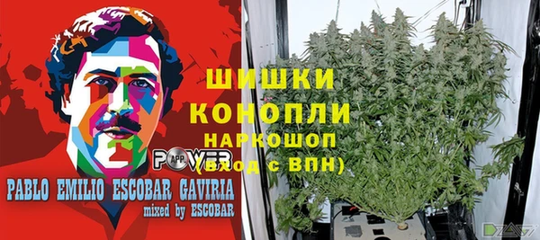 эйфоретик Сясьстрой