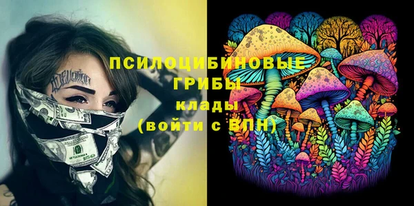 ГАЛЛЮЦИНОГЕННЫЕ ГРИБЫ Тобольск