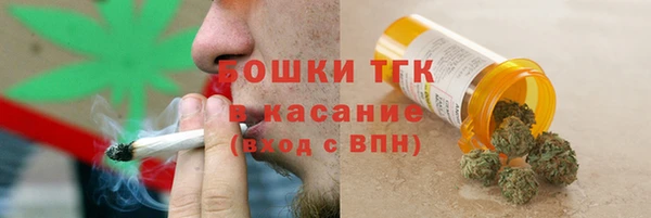 PSILOCYBIN Тайга