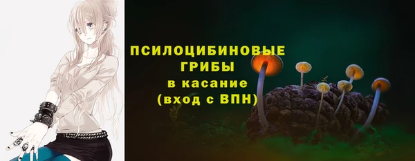 мдпв Тихвин