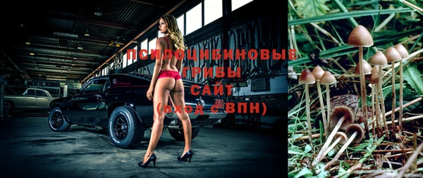 гидропоника Тавда