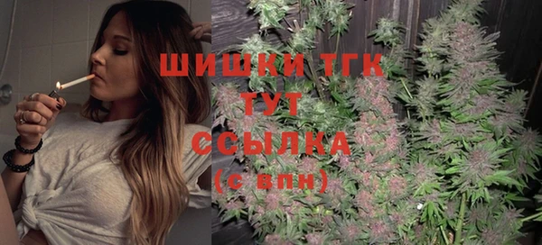 PSILOCYBIN Тайга