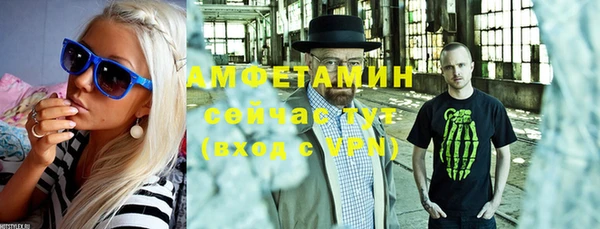 PSILOCYBIN Тайга