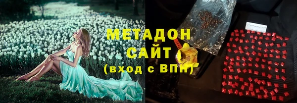 PSILOCYBIN Тайга