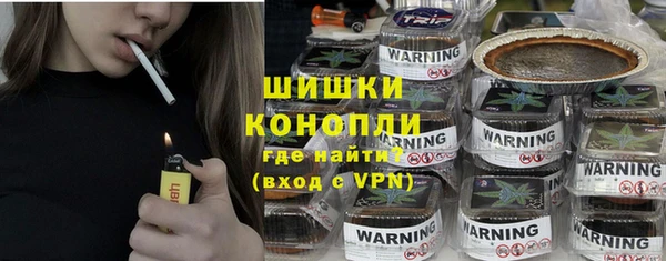 эйфоретик Сясьстрой