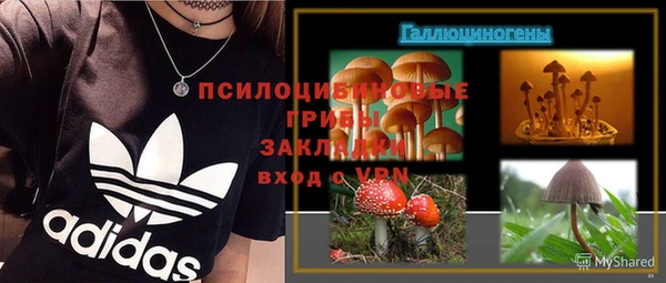 эйфоретик Сясьстрой